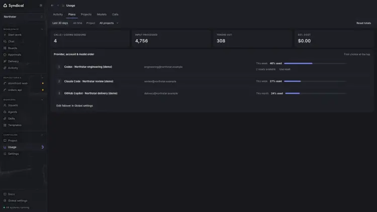 Syndical Usage on the Plans tab with fictional Codex, Claude Code and GitHub Copilot accounts and their example allowance readings.